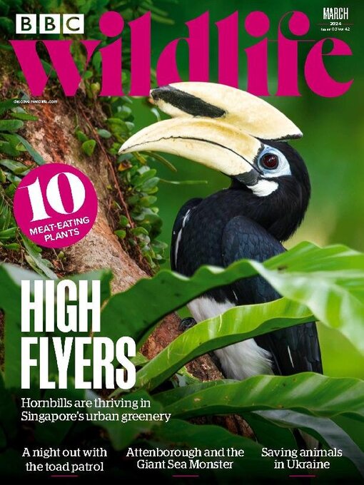 Title details for BBC Wildlife Magazine by Our Media Limited - Available